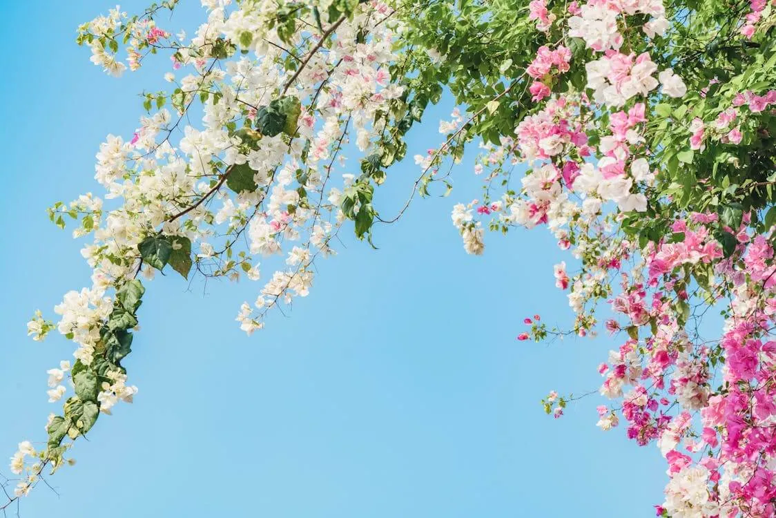 spring wedding